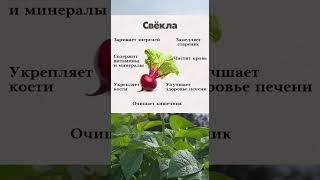 Свекла #советы #полезныесоветы #полезно #здоровье #проздоровье #похудеть