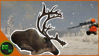 Hunting In Alaska For The First Time With The 450 Bushmaster! Call Of The Wild