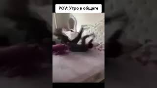 Утро в общаге - мем #мемы #мем  #общага #таракан #meme #memes #cockroach #beatboxmemes #beatbox