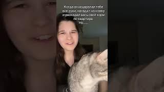 Моя Любовь️ #rek #funny #ютубшортс