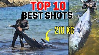 TOP 10 SPEARFISHING SHOTS 2024- PESCASUB