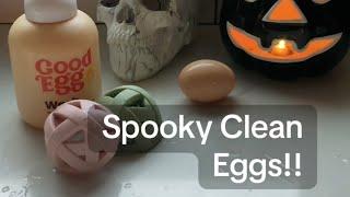 Spooky Clean Eggs @goodeggstuff #flocktober #spookcleaneggs #goodegg #farmfresh