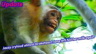 JANE MONKEY FAMILY UPDATE #DSCN0407