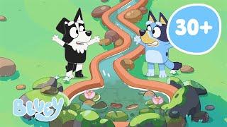 EN VIVO: Aventuras al aire libre con Bluey | Bluey