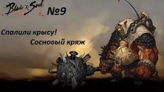 Blade & Soul. Прохождение: часть 9. Спалили Крысу! Сосновый Кряж.