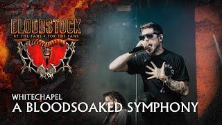 WHITECHAPEL- "A Bloodsoaked Symphony" LIVE at Bloodstock 2024 | Main Stage Performance 🩸