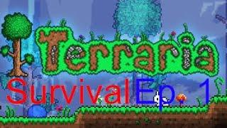 Terraria Survival Abridged Ep. 1 | No Clothes And A Cactus Helmet