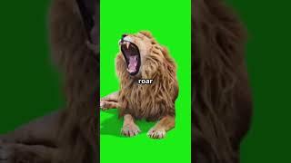 The real kings! #love #pets #animallife #subscribe #lion #lions #cute #puppy #dog #cat #cats