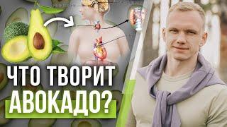 Всё про авокадо! / Какая польза от авокадо?