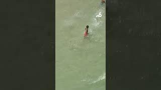 Shark spotted near swimmers in Florida