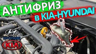 Антифриз KIA RIO и HYUNDAI SOLARIS  какой, куда доливать, как проверить уровень