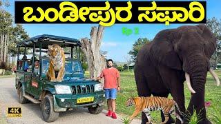 WILD Animals in ಬಂಡೀಪುರ - BANDIPURA SAFARI - BANDIPURA SAFARI TIMINGS -BANDIPUR TIGER RESERVE SAFARI