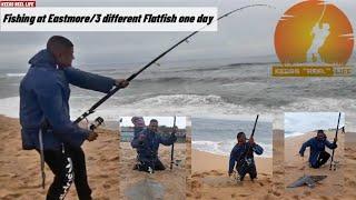 #Fishing Durban #Eastmore #3 different flatfish species in one day #Blu-ray #Daimond #Eagleray