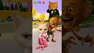 hey give me back my love, crazy orange!! #cat #catvideos #catlovers #trendingshorts