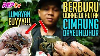 BERBURU UDANG DI HUTAN CIMAUNG, DAYEUHLUHUR - Konten Gabut