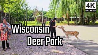 Wisconsin Deer Park - A Must Visit in Wisconsin Dells besides Water Parks