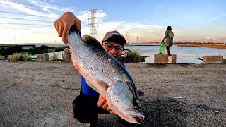 Un Expected Ang Laman Halimaw Sa Laking Barramundi Tiba tiba