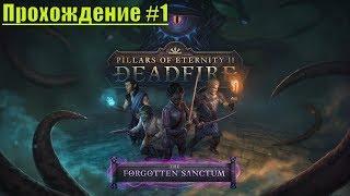 Pillars of Eternity 2: Deadfire Прохождение 1