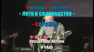 Александр Розенбаум  - Лето в садоводстве (КАРАОКЕ)