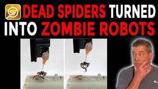 Zombie Spiders! Scientists Turn DEAD Spiders Into Robots!