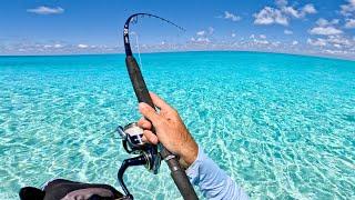 Fishing for Monsters in Crystal Clear Water