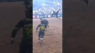 Cody Webster gets Launched by Bull named Black Ice