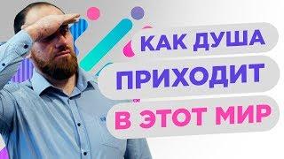 КАК ДУША ВЫБИРАЕТ СЕБЕ НОВУЮ ЖИЗНЬ | Павел Науменко