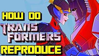 How Transformers Reproduce? Why Do Female Transformers Exist? - Everything Explained