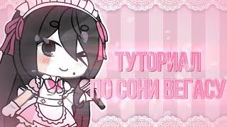 ТУТОРИАЛ ПО СОНИ ВЕГАСУ ДЛЯ НАЧИНАЮЩИХ [максимальный актив пожалуйста]