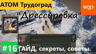 #16 "Дрессировка" Зихао, Хайшень. Атом РПГ Трудоград прохождение гайд геймплей квесты.