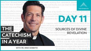 Day 11: Sources of Divine Revelation — The Catechism in a Year (with Fr. Mike Schmitz)