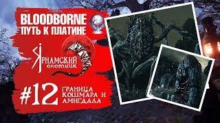 Bloodborne Путь к платине Часть # 12 Граница Кошмара и Амигдала