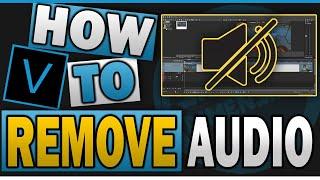 How to REMOVE AUDIO ONLY in Vegas Pro