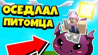 НОВЫЙ СИМУЛЯТОР ГЕРОЕВ ПИТОМЦЕВ! КАК ОСЕДЛАТЬ ПИТОМЦА? РОБЛОКС! Pet Heroes