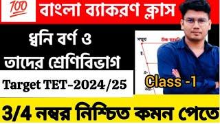 ধ্বনি ও বর্ণ।Dhowni & Barno|TET Target -2024|3/4 নম্বর কমন আসবে| TET Bangla Class| #tet