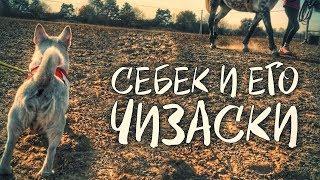 Себек и его ЧИЗАСКИ Сережа 01к Инстасториз