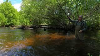 Рыбалка по горной речки в июне 2021, 4K. Fishing on the mountain river