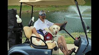 Patriot PAWS - From a Veteran's Perspective
