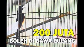 200 JUTA BOLEH BAWA PULANG  JUARA 1 KOPDAR SGS GRESIK.