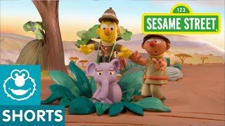 Sesame Street: Lost Elephant | Bert and Ernie's Great Adventures