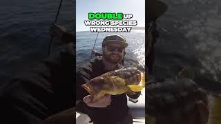 Double-Ups on Big Fish at San Clemente Island!