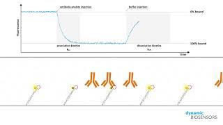 switchSENSE® Antibody Sensing