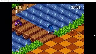 Sonic 3D Blast: Director's Cut - Green Grove Zone