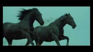 Black horses - Now we are free (Lisa Gerrard)