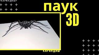 Spider 3D. How to draw a spider.  Паук 3D. Как нарисовать паука.