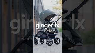 Introducing... ginger lx 🫚your favorite stroller just got an upgrade #new #stroller #joie