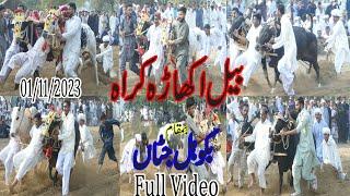 Bail Akhara Krah In Bakohal Jattan Sarai Alamgir Full Video Akash Tv 01/11/2023