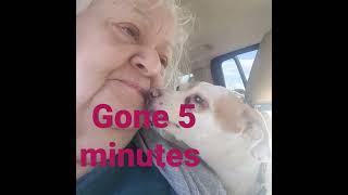 Dog Gone #fun #dog #love #grandma #play #kiss #lick