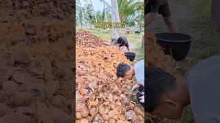 #coconut #coconutshell #charcoal coconut charcoal powder forming machine#charcoalmachine #wood