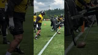  97  #Steelers #NFL #Shorts